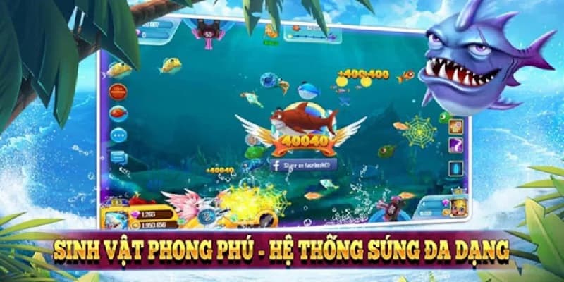 Hệ thống sinh vật biển vô cùng phong phú