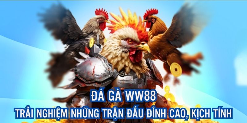 Đá Gà WW88